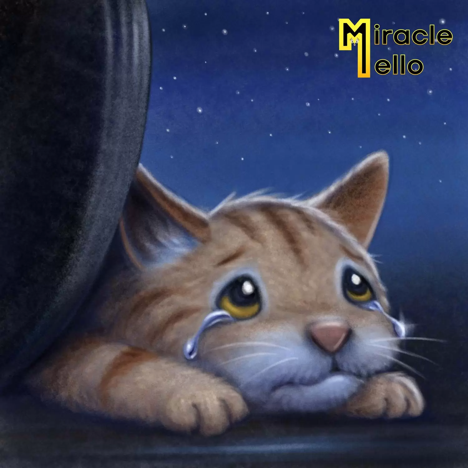 mm001